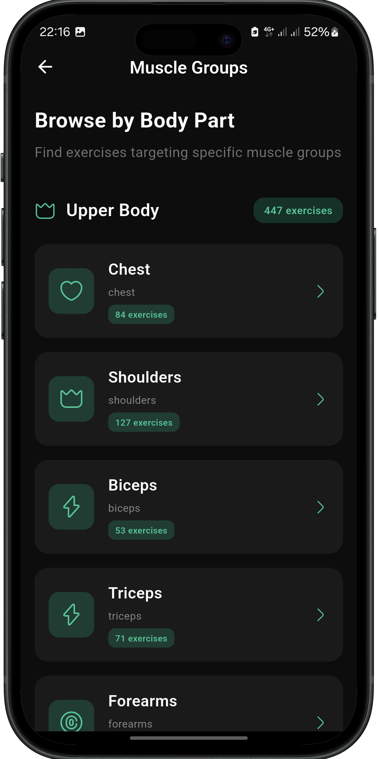 Muscle Groups